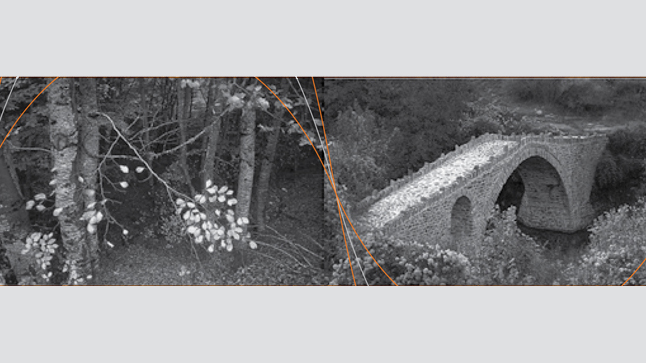 Περιφερειακό Καρδιολογικό Συνέδριο - Γρεβενά 