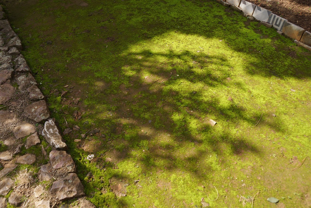 IAO Istanbul day 4 - I.A.O. Meeting - Istanbul