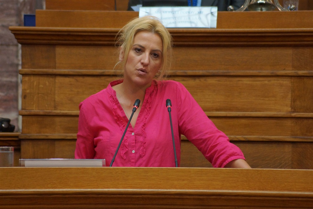  - 20th Annual Interparliamentary Assembly on Orthodoxy | Athens | 26-29 June 2013