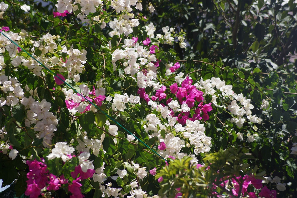  - 20th Annual Interparliamentary Assembly on Orthodoxy | Athens | 26-29 June 2013