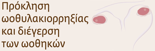 Πρόκληση ωοθυλακιορρηξίας και διέγερση των ωοθηκών