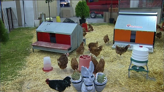 Επίσκεψη στην φάρμα ζώων της 78ης ΔΕΘ-HELEXPO