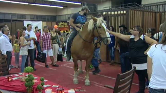 Άλογα στη Φάρμα Ζώων της 78ης ΔΕΘ-HELEXPO