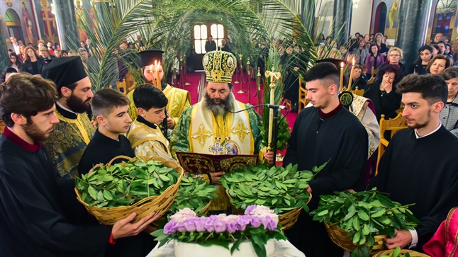 (Δελτίο Τύπου) Κυριακή των Βαΐων εις την Ιερά Μητρόπολη Λαγκαδά, Λητής και Ρεντίνης
