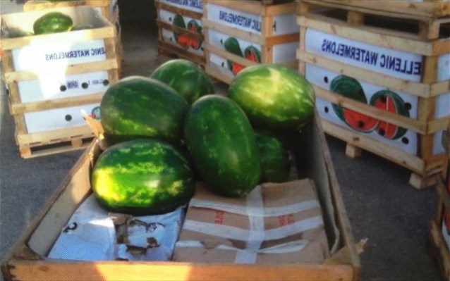 Patra: 150 kilos of hashish among ... watermelon truck - refrigerator