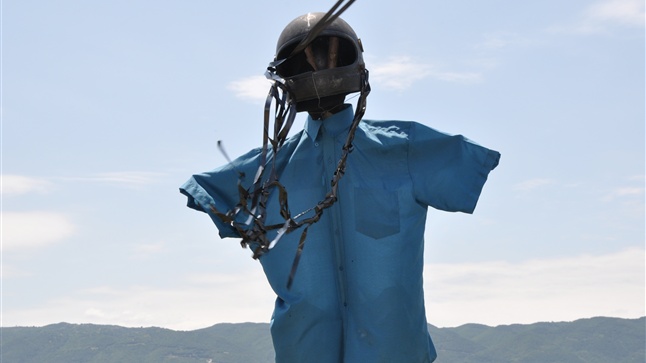 Surreal ... scarecrows 