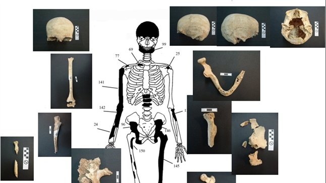 Five skeletons found at Amphipolis Tomb