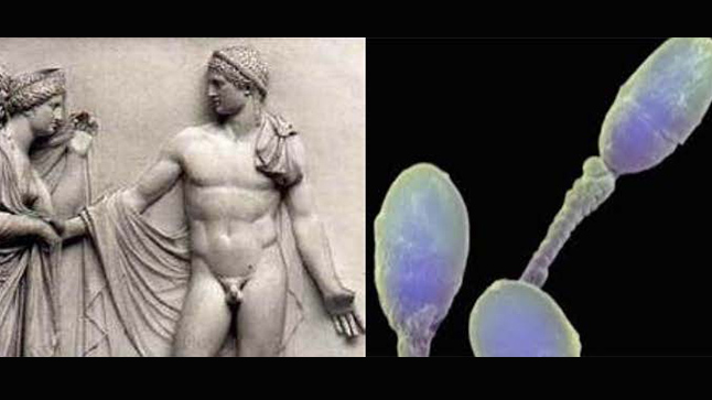 Andrology approaches at modern Greek reality
