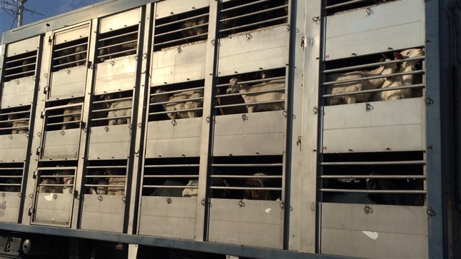 Left, right, straight