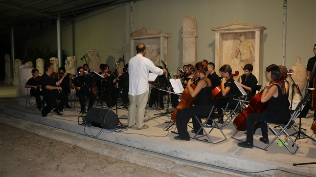 The exhibition 
