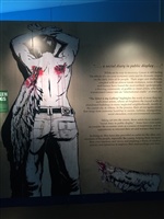 THE STREET IS MY GALLERY