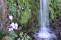 Προσκύνημα στο Αγίασμα Αγίου Αθανασίου & στο Σπήλαιο Αγίου Αθανασίου