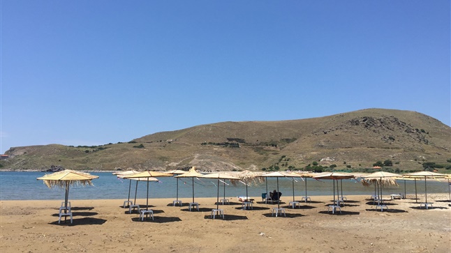 Healthy Travel Essentials: Summer Camp