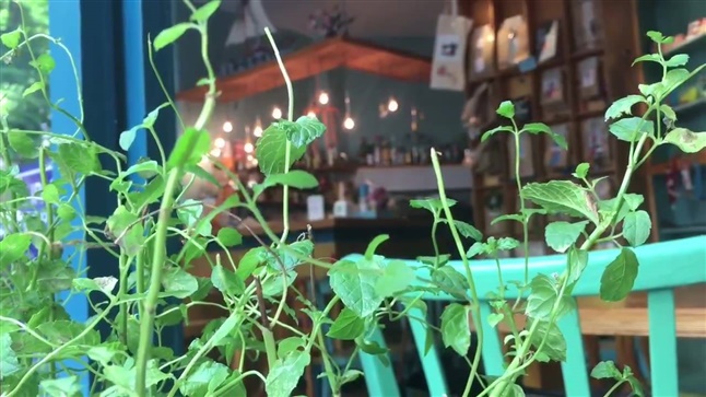 Coffee & crafts. A unique cafe-bar