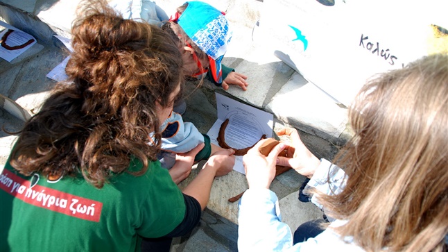 We construct nests of clay for swallows at the First Aid Station...