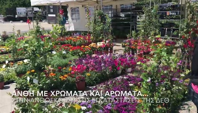 Άνθη με χρώματα και αρώματα...  στην Ανθοέκθεση στις εγκαταστάσεις...