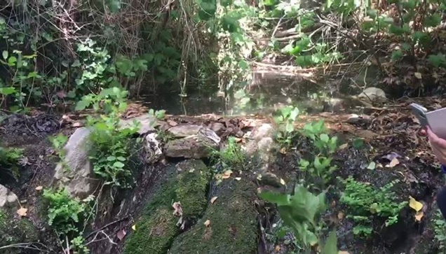 Οι πηγές της Ποταμιάς Νάξου: Όταν η φύση έχει κέφια!Μια όαση...