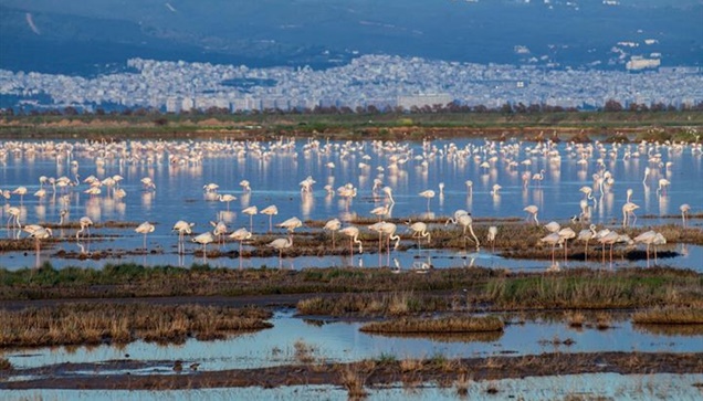 2 Φεβρουαρίου: Παγκόσμια Ημέρα Περιβάλλοντος με έκθεση φωτογραφίας...