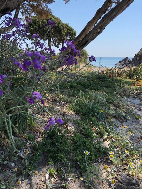 #kos #Kefalos 