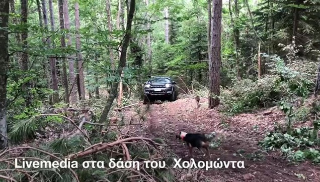 Με τους Υλοτόμους του Όρους Χολομώντα την ώρα που εργάζονται...