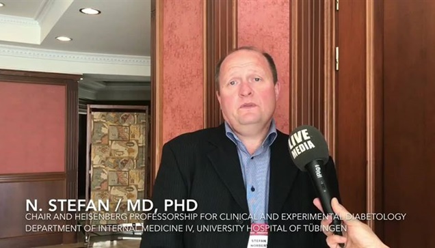 N. Stefan / MD, PhD, Chair and Heisenberg Professorship for Clinical...