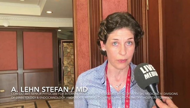 FA. Lehn Stefan / MD, Consultant, Senior Physician for Internal...