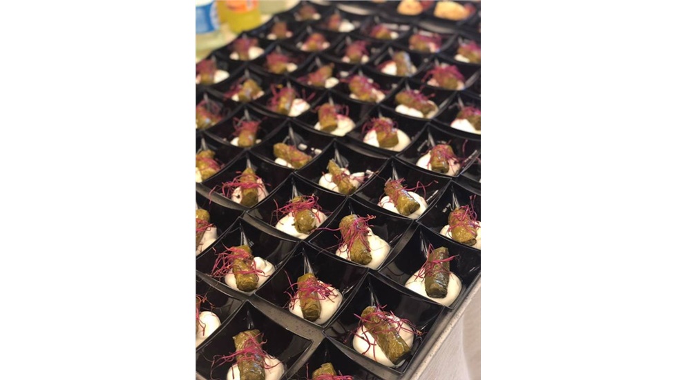 Ντολμαδάκια από τη Μακεδονία γεύτηκαν οι ευρωβουλευτέςΠΑΡΟΥΣΙΑΣΗ...