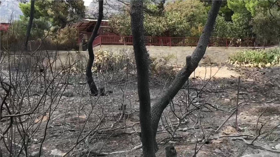 Αποκαΐδια και στάχτες άφησε πίσω της η φωτιά στην Κινέττα 