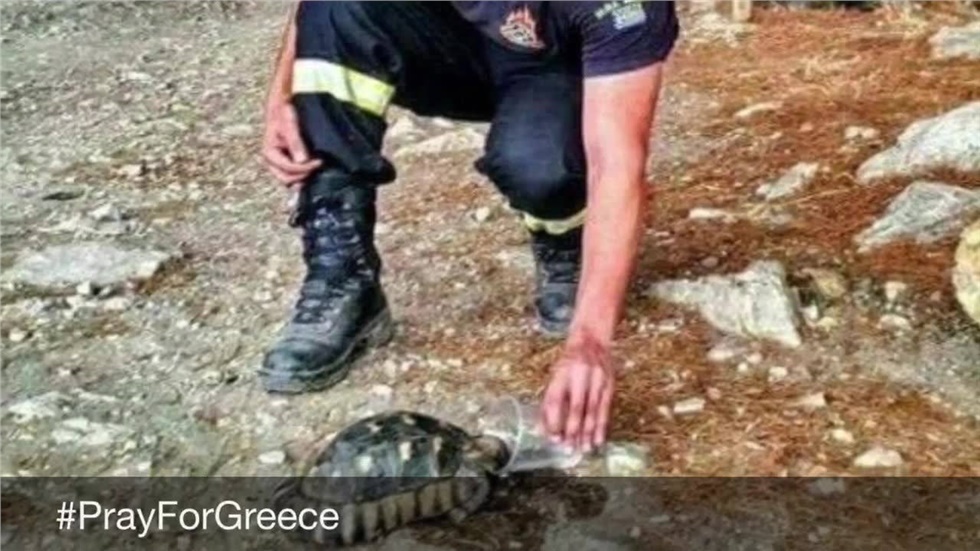 Τη συμπαράσταση και τη στήριξή της εκφράζει η  Ελληνική Εταιρεία...