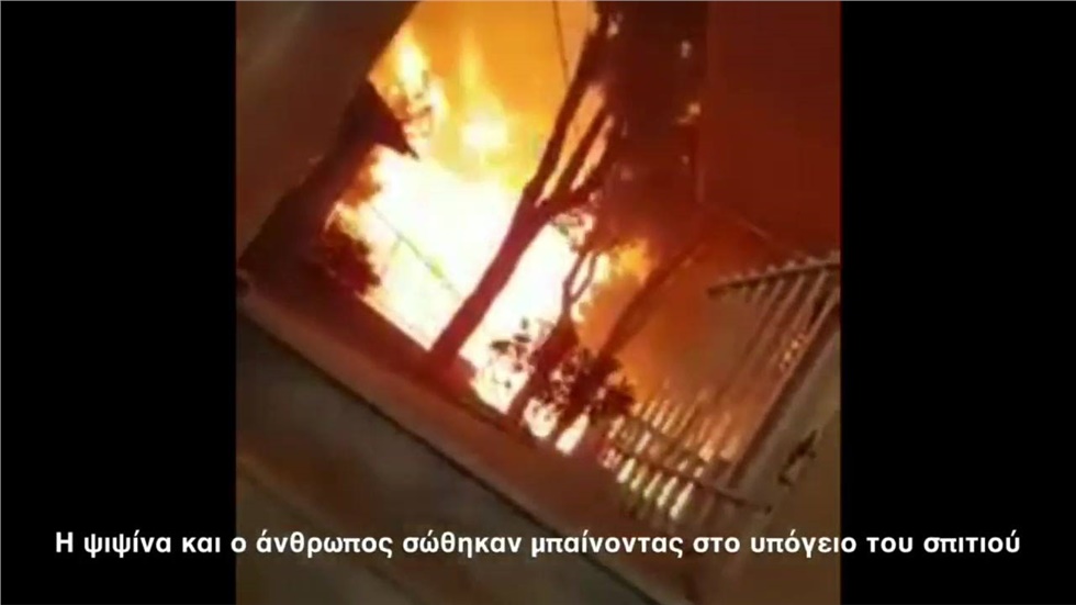Το μόνο που θα μπορούσε να πει κάποιος είναι το πόσο συντετριμμένος...