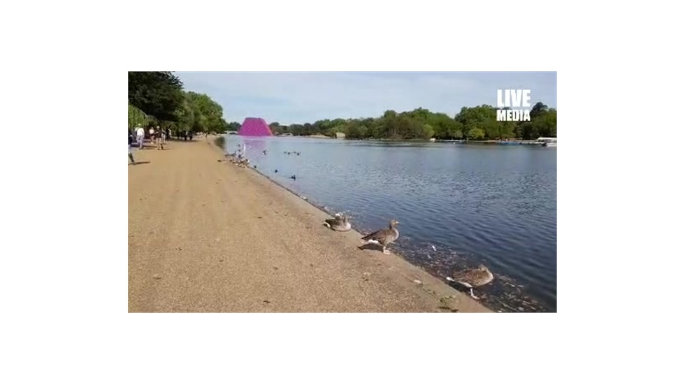 Live from Hyde Park wh...