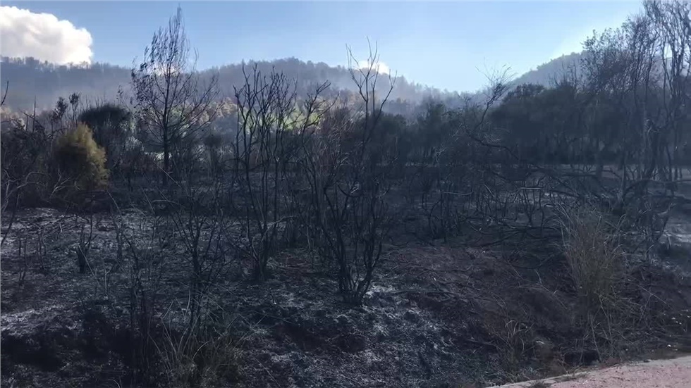Για την επόμενη μέρα της μεγάλης πυρκαγιάς στην κεντρική Εύβοια...