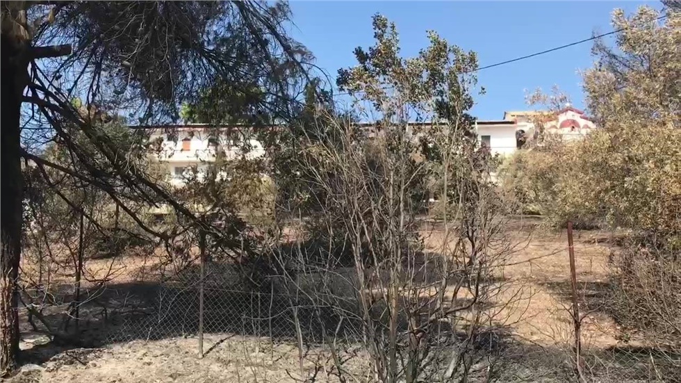 Περισσότερα από 13.000 στρέμματα πευκοδάσους έγιναν στάχτη στην...
