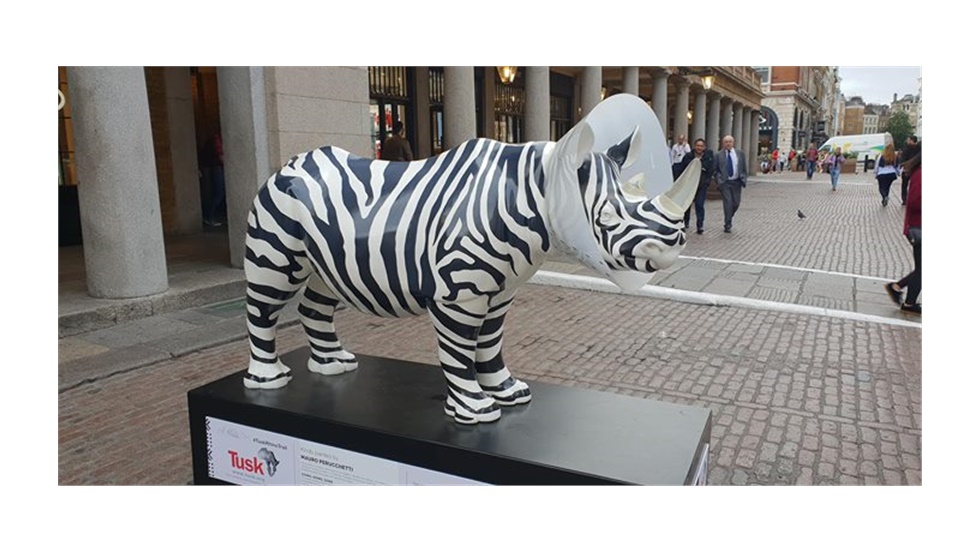 Twenty one rhinos scul...