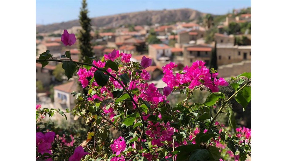 Photos from Larnaca, Cyprus.  #larnaca #cyprus 