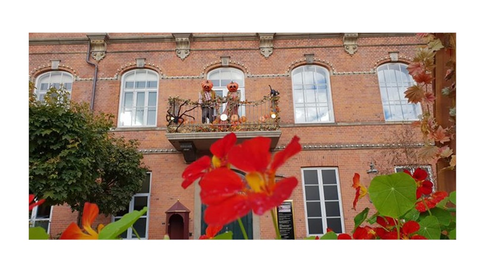 This is how they celeb...