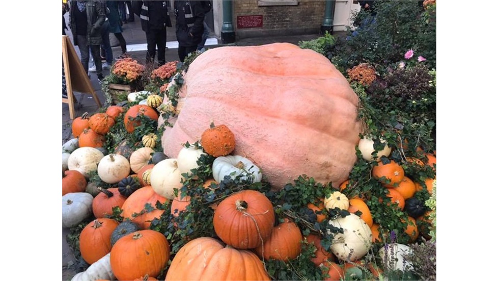 Europe’s largest pumpk...