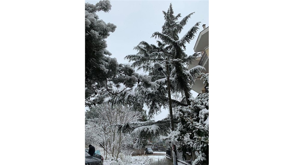 Χιόνι στις γειτονιές της Θεσσαλονίκης.   #χιόνι