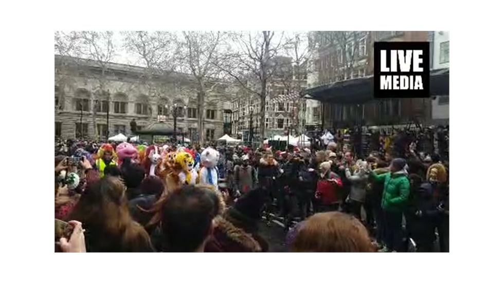 Celebrations for the Chinese New Year in central London