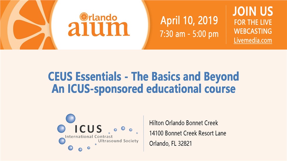 CEUS Essentials - The Basics and Beyond|An ICUS-sponsored educational...
