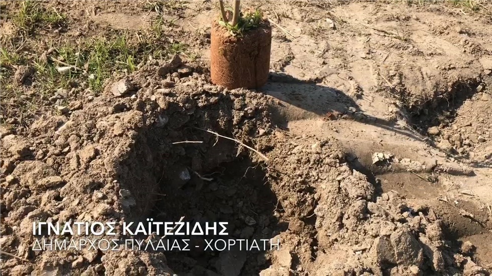 Δενδροφύτευση για την Γενοκτονία των Ποντίων   Ο Δήμαρχος Πυλαίας...