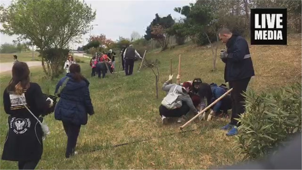 Ζωντανή μετάδοση της δεντροφύτευσης από την Παμποντιακή Ομοσπονδία...