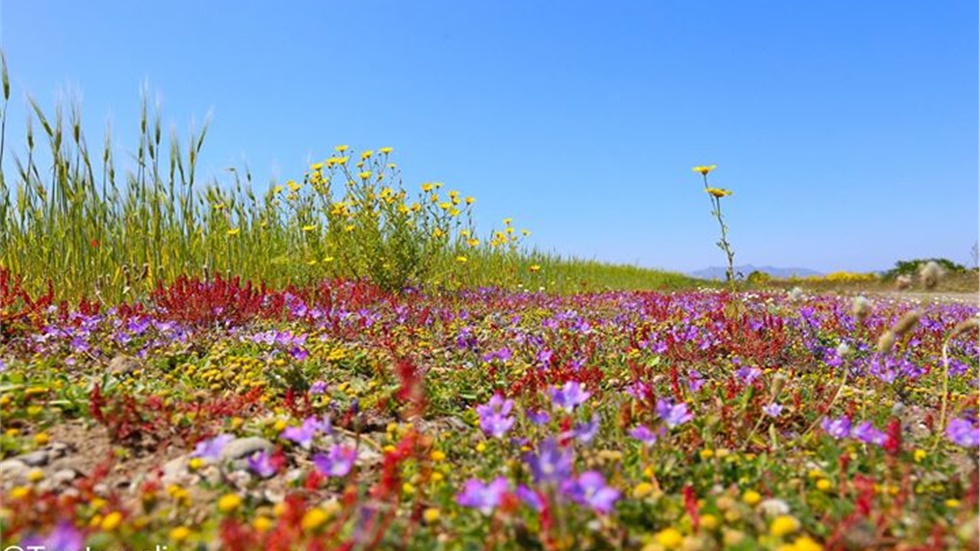 Στις Θερμές .. του Ιπποκράτη, για καλή επιδερμίδα!