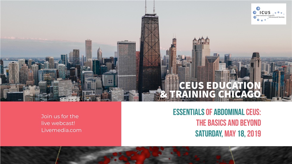 Essentials of Abdominal CEUS: The Basics and Beyond