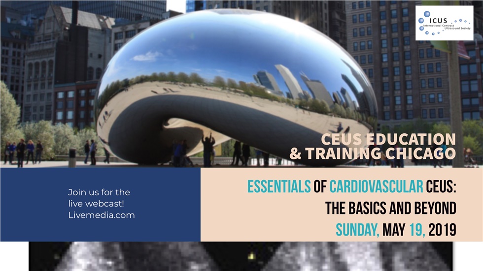 Essentials of Cardiovascular CEUS: The Basics and Beyond