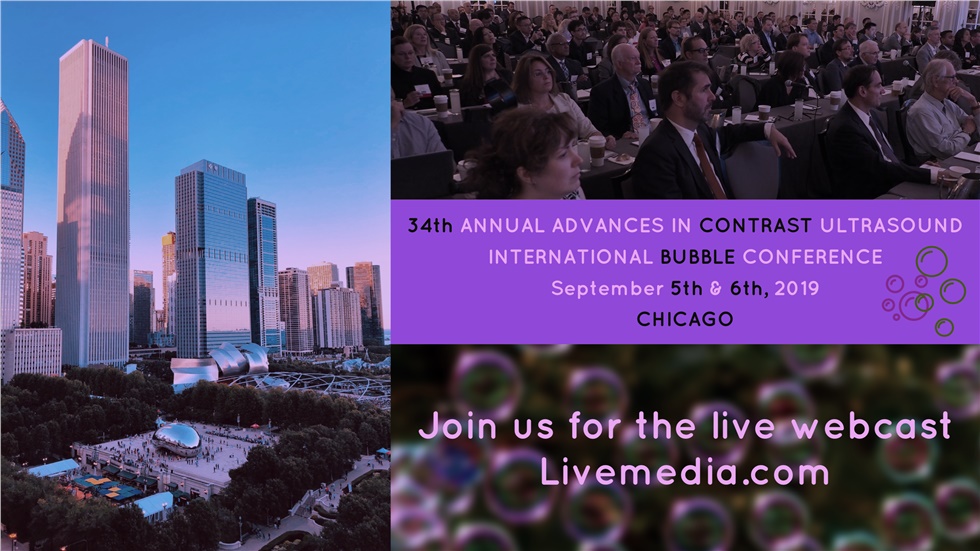 34th Advances on Contrast Ultrasound - The Bubble Conference