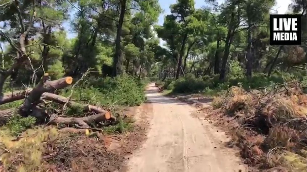 Πολύ μεγαλύτερη είναι η οικολογική καταστροφή στην περιοχή της...