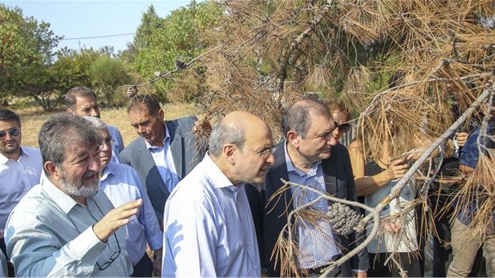 Photos from Livemedianews.gr's post