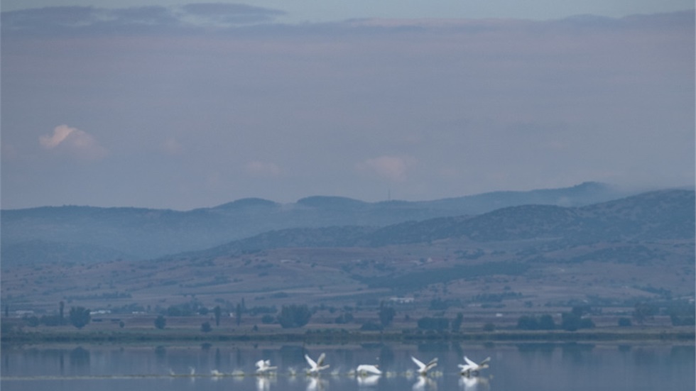 Θεσσαλονίκη: Συστήνεται άμεσα μόνιμη επιτροπή για τη σωτηρία...
