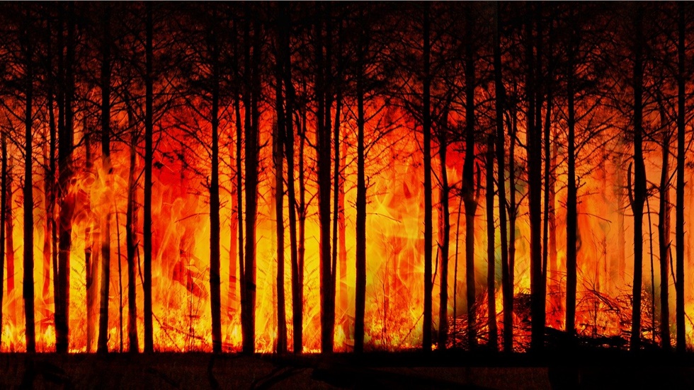 Αυστραλία: Οι πυρκαγιές απειλούν τα αποθέματα νερού στο Σίδνεϊ